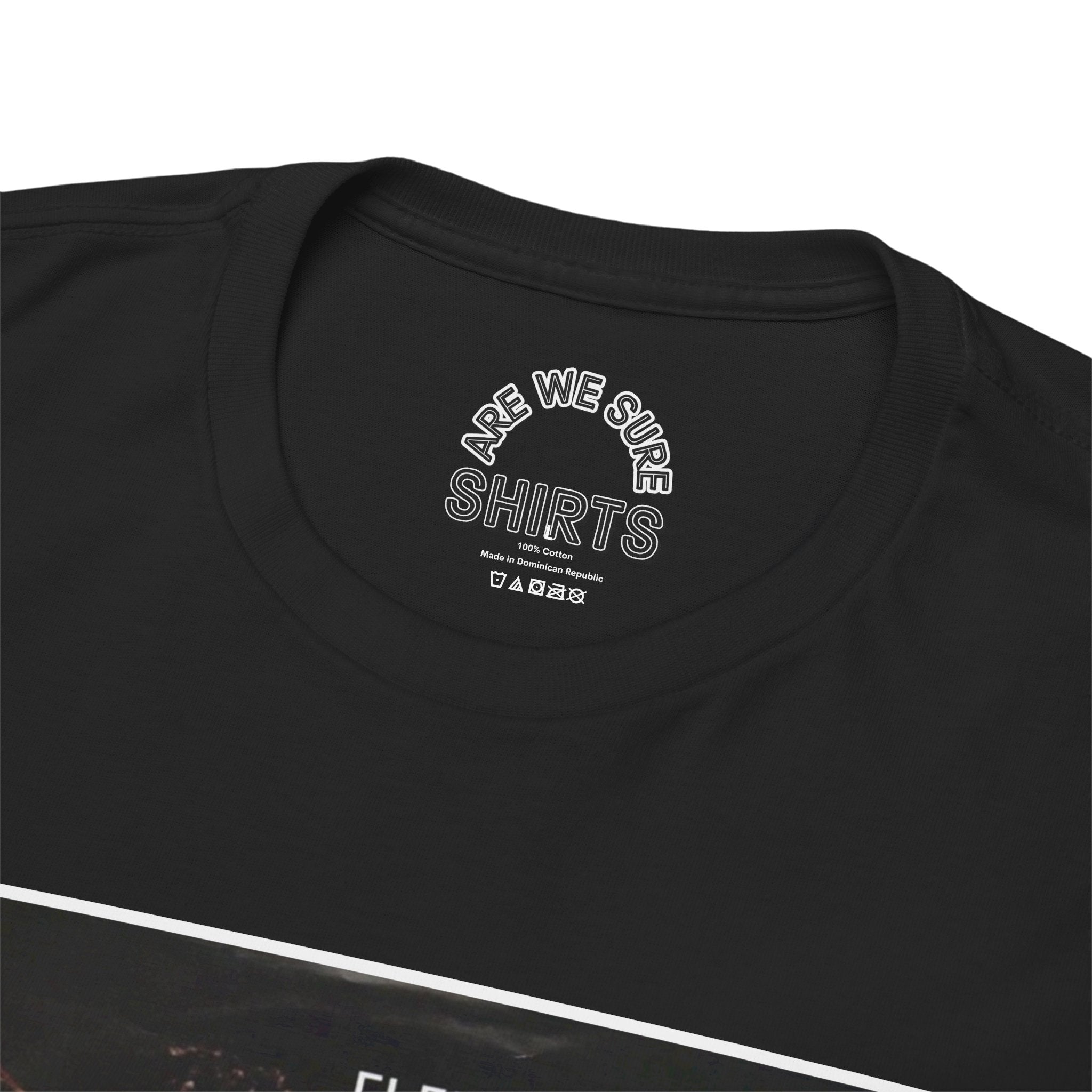 Fleetwood Mac Unisex Heavy Cotton Shirt "Gypsy" Parody Tee