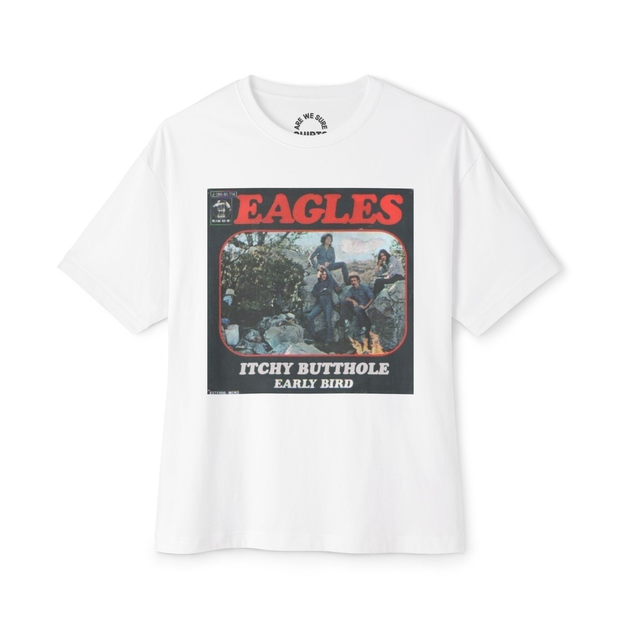 The Eagles Comfy Unisex Oversized Boxy Tee "Witchy Woman" Parody
